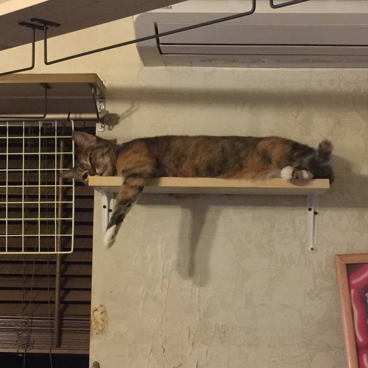 9dfa4876 c1ac 4969 a309 8b08982c9150 1567523968761