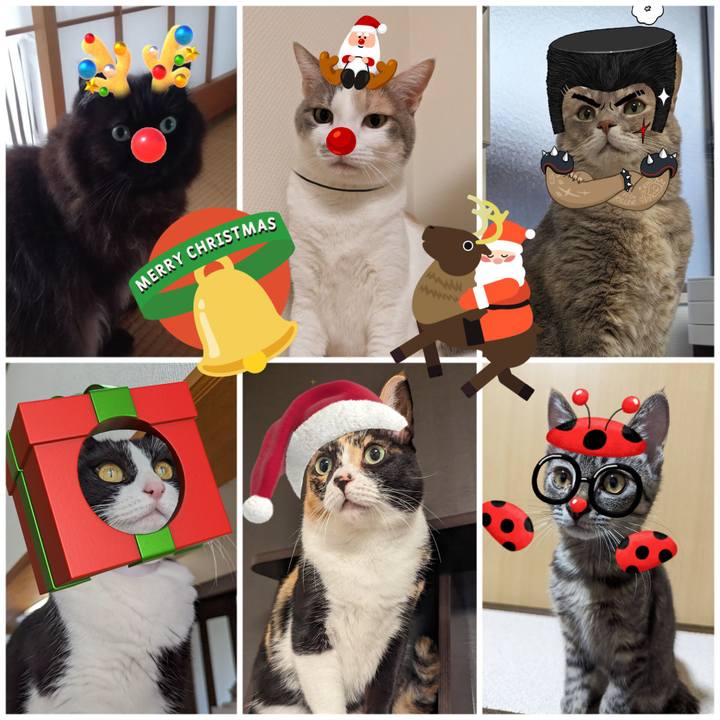 9dfa6467 5f8e 47f0 91c5 220c52621342 1703388197280