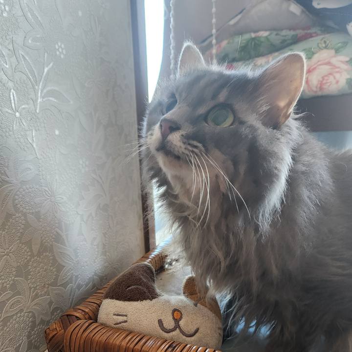 9dfa6fe4 94db 4622 8fba d569b6a4f0a3 1726349941023