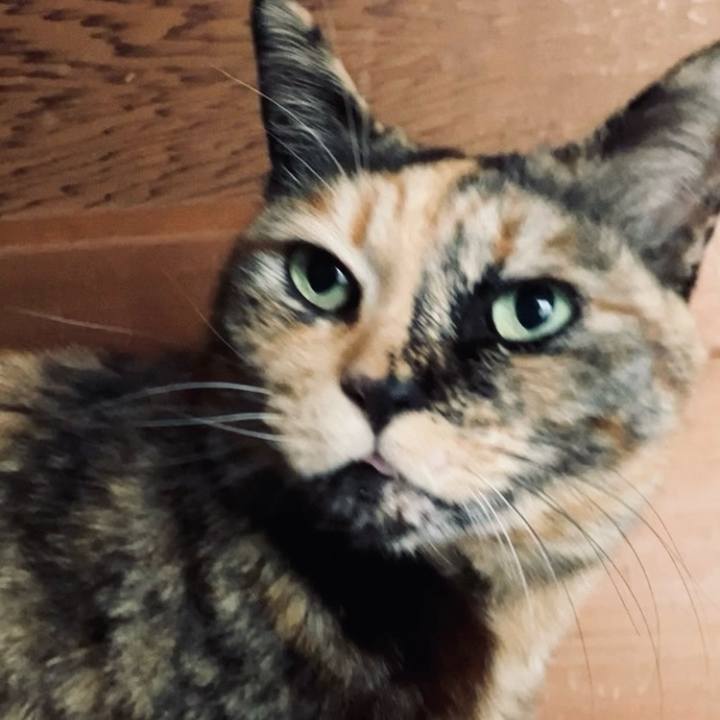 9dfa8a48 de41 4622 baef 122825eff8fc 1741659370086