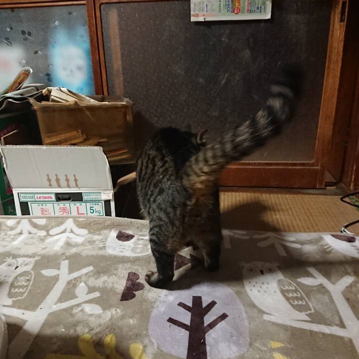 9dfa8fa0 7fc6 4d63 a47d d406b18a57b7 1633610505428