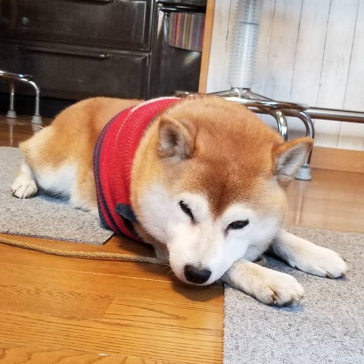 9dfabfe4 2c2e 468c bb74 f042e19addd9 1606347517119