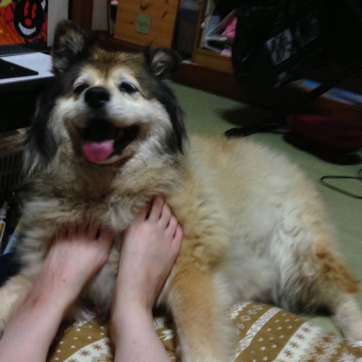 9dfaca46 b144 4bcc 861f 1b09d3f18f95 1570919487807