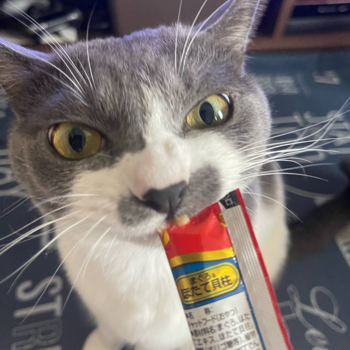 9dfb3010 a05a 4192 a46c a7a4096a1d32 1693214958413