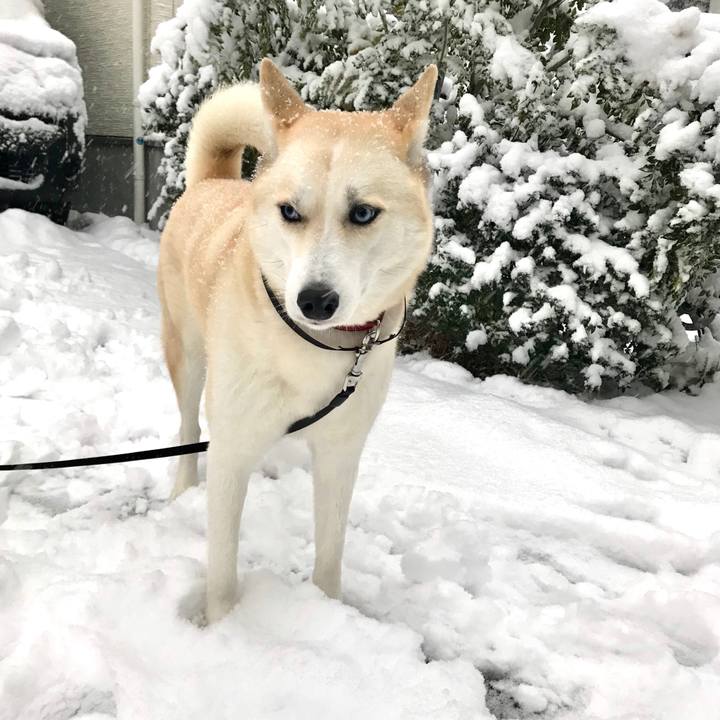 9dfb4103 f00a 49fe ad96 91f362fe62f5 1516606265753