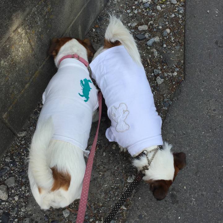 9dfb4627 82a5 4a01 8bb8 86e185349146 1525051489962