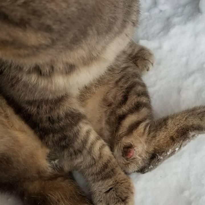 9dfb5656 aa26 42c3 8b16 8ee652f67059 1513574559641