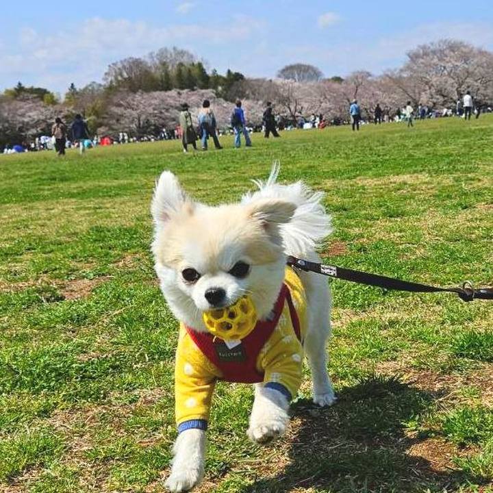 9dfb65d7 cc76 4857 b610 f35a9bdc659d 1764173212156