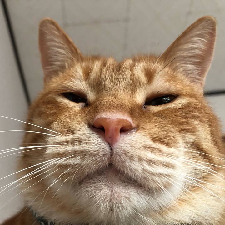 9dfb7188 cd09 46ac ad1f ad60528f5c05 1585087252811