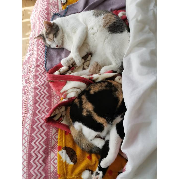 9dfb7eeb 23aa 4095 aa5d 50c8521a5765 1679891740347