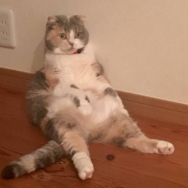 9dfb8606 db72 4cd0 a003 e833e47afd25 1574680200789