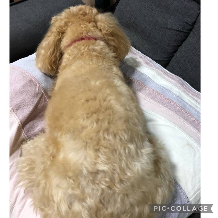 9dfb8991 3418 4779 8bc2 c0534f4404de 1621002168297