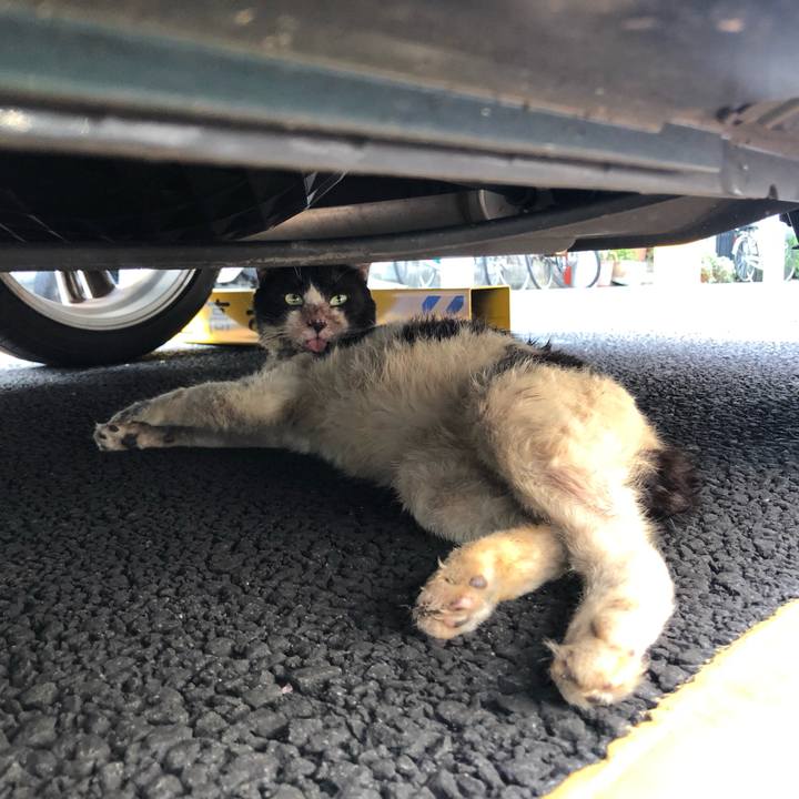 9dfbb755 08a3 464f 8040 5ecbd0d34429 1568319276500