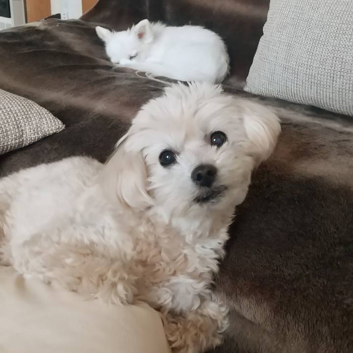 9dfbe034 cd4c 4f3b 9c76 41f5626829fd 1619245895449