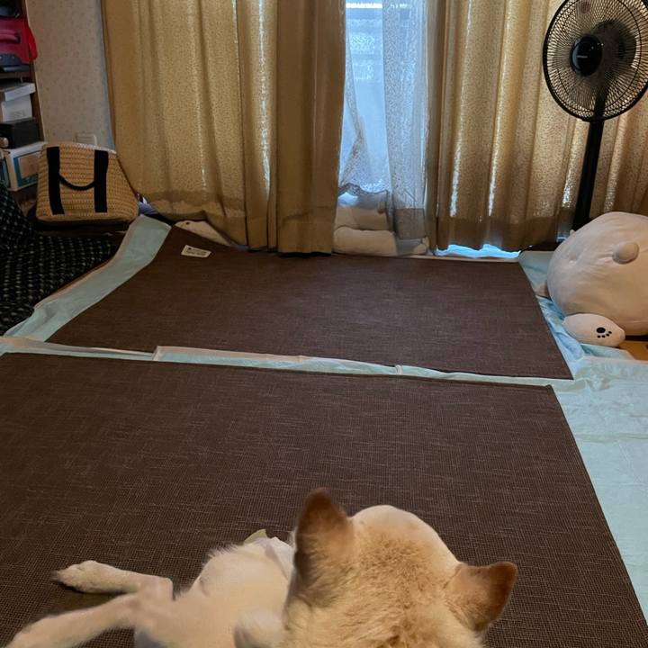 9dfbece1 b4d9 4935 8b20 2a0a88996936 1666127724565