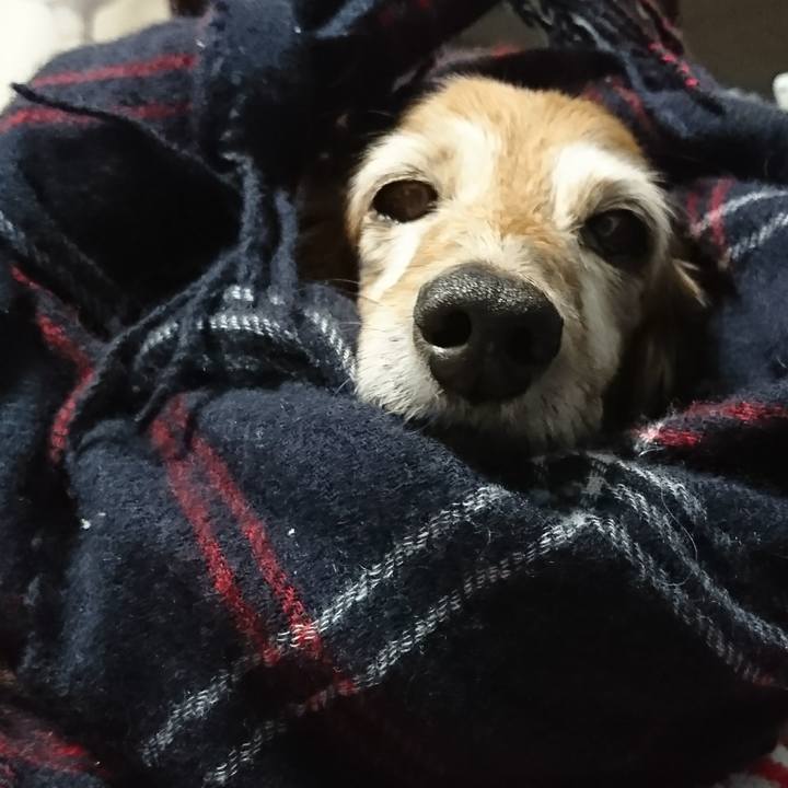 9dfc0891 2c8a 415c b0fa a4888dc3fccf 1515088833355