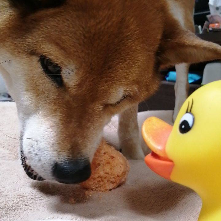 9dfc3fd0 b3a2 4098 98cc 116b2b0b5945 1587542336628