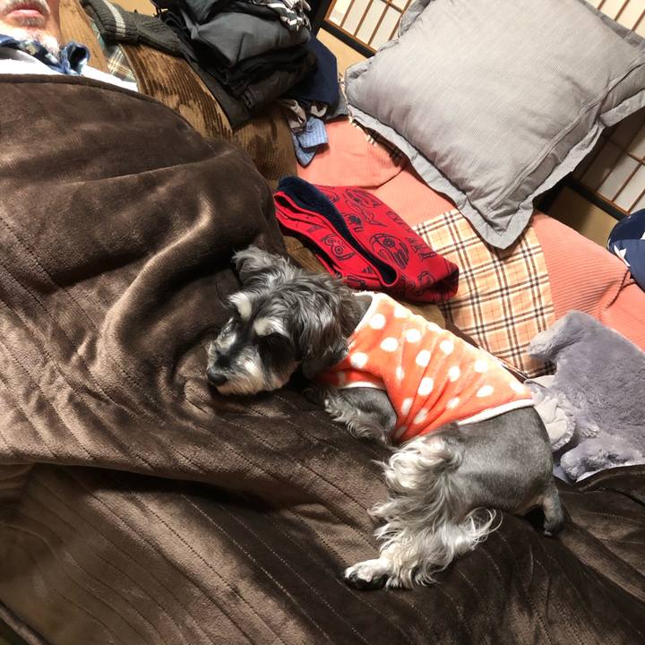 9dfc4cef 2336 4c9b 9133 1577d5993a91 1640697601850