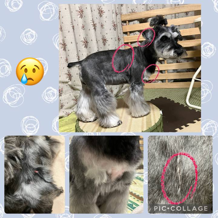 9dfc94bb e62b 4888 b800 88669f8bc6ce 1742133210884