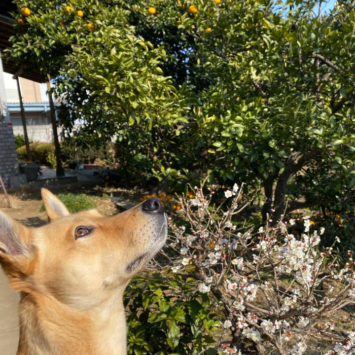 9dfca374 4aa4 4b25 a8be 4bc0927400c6 1646283035931