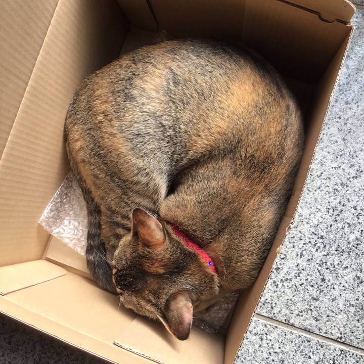 9dfcbb38 6ce3 4caf 89c1 11289ec5f00a 1581047828572