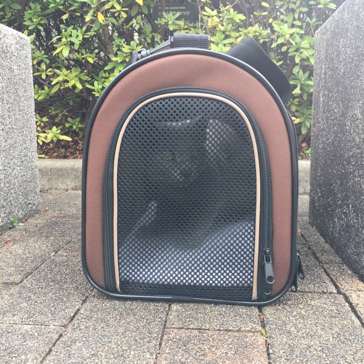 9dfcc65e 99fe 4604 8735 07244afc21fa 1552204734117