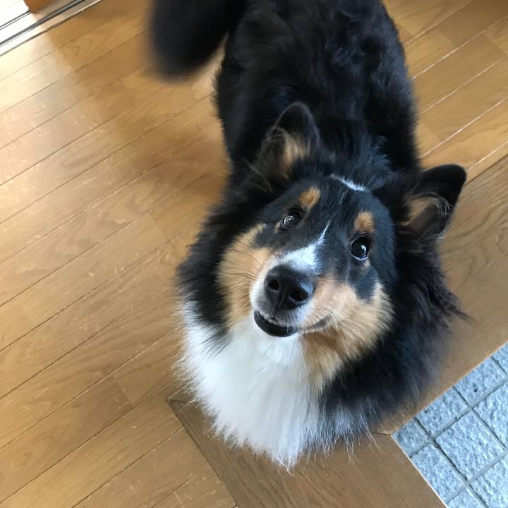 9dfcd541 88ed 453e a7e1 80fb4e0d1ac5 1531347574519