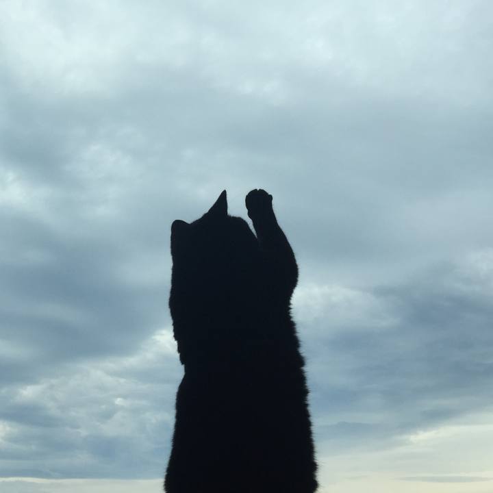 9dfd034a 7472 49fe b554 05d4c7a957c7 1532511890735