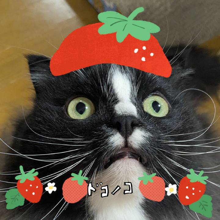 9dfd28fe 7fbd 4caa bdc5 8b30ef7af935 1775212537137