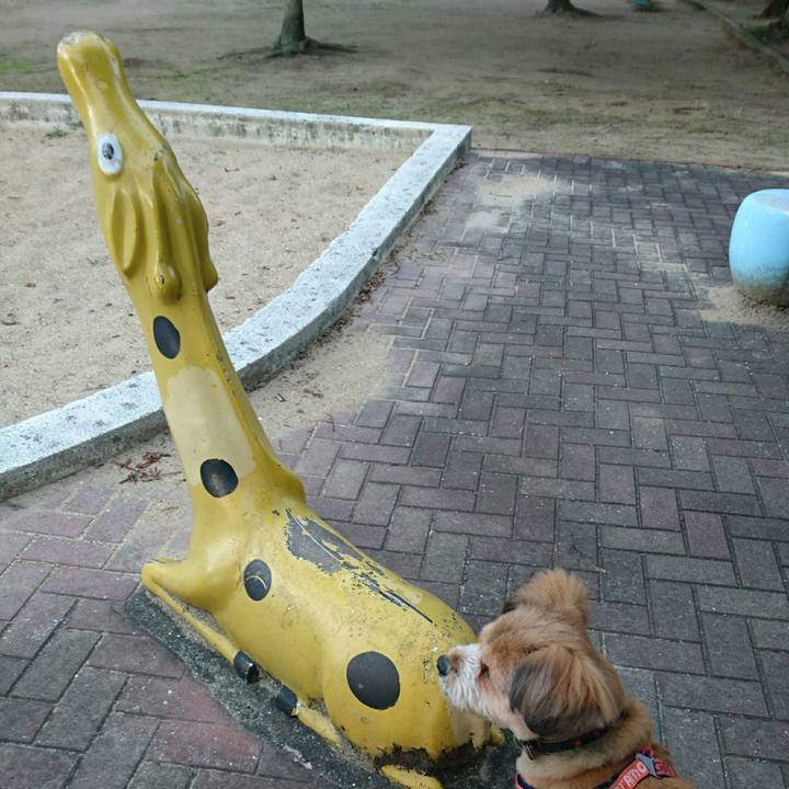 9dfd4522 007b 45e5 9016 4b2d461020a7 1530486890773