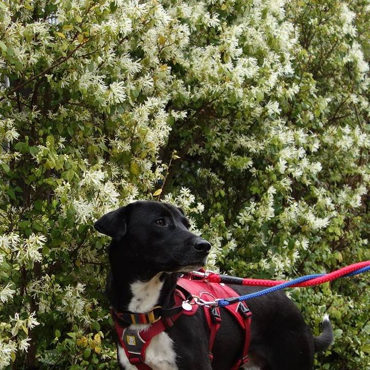 9dfd6c1d 64b7 4917 9203 c331e2a07043 1586652128473