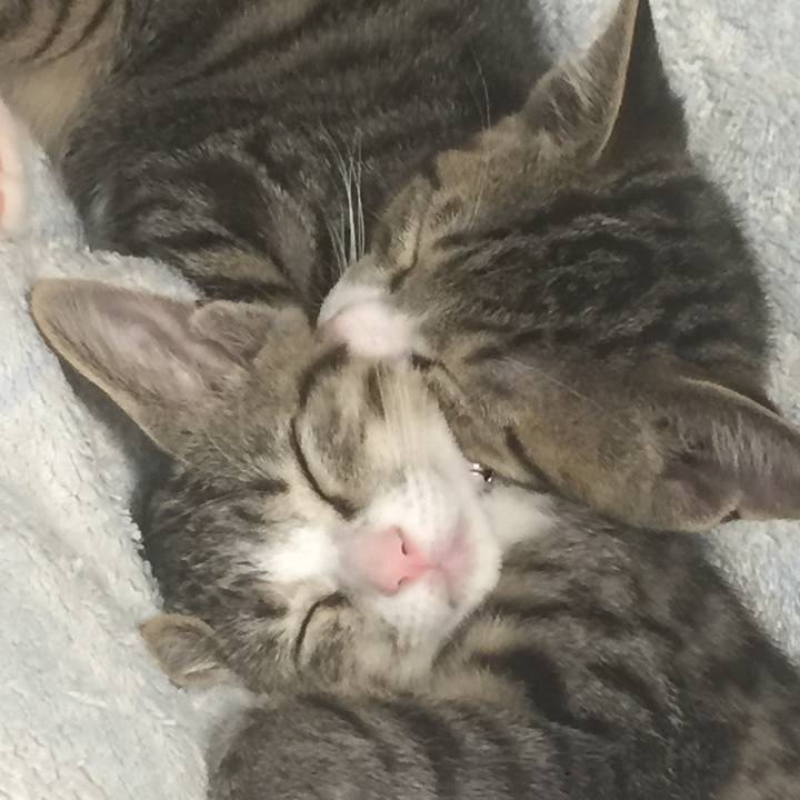 9dfd7415 c8f7 4f94 b3e9 a8727706e4bc 1655741167601