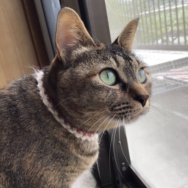 9dfda476 f7ba 496d b4ac e62749d6bd24 1651452035987