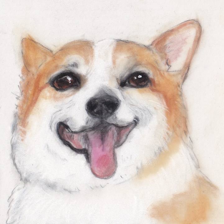 9dfdbac0 3ec9 4349 9f50 6e0077590dec 1747698767809