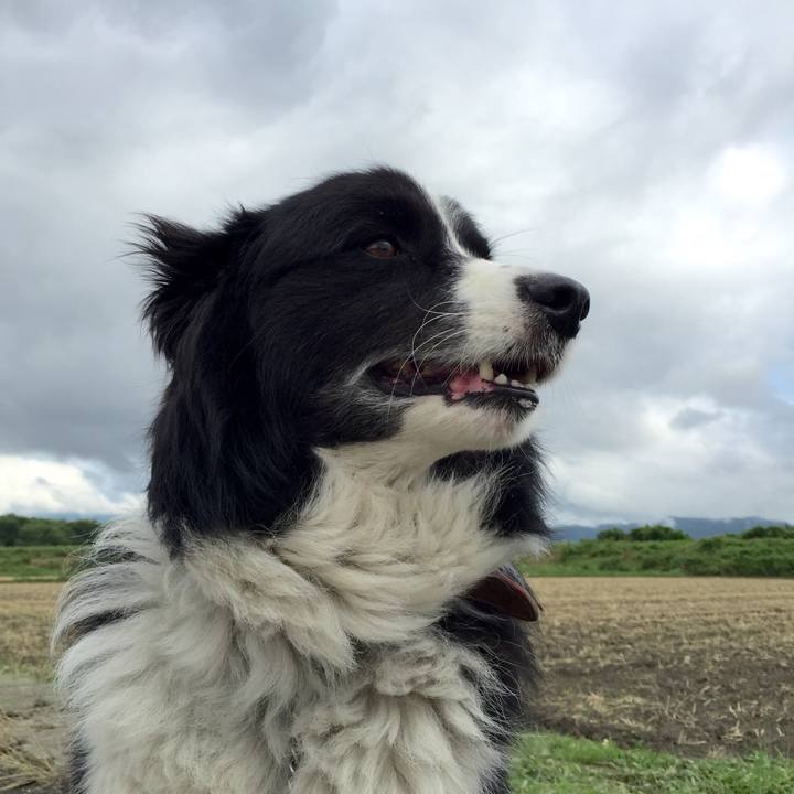 9dfdfdba 69c6 4eb8 aa62 9048e7819d3b 1528757997313