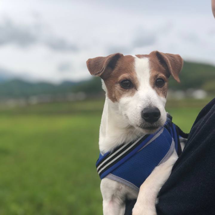 9dfe1229 dd7c 4af5 880a e049a3ca181f 1746946152341