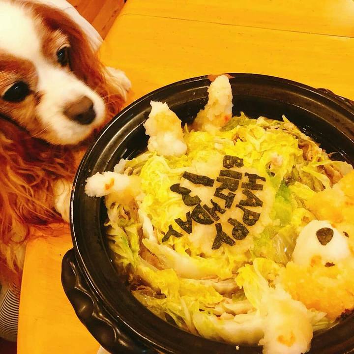 9dfe4c1a 9ac3 46ce 9282 f25f3bac8342 1539379942167