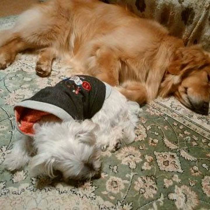 9dfe4d4a 2de4 4603 9f59 1da19232e845 1519891082566