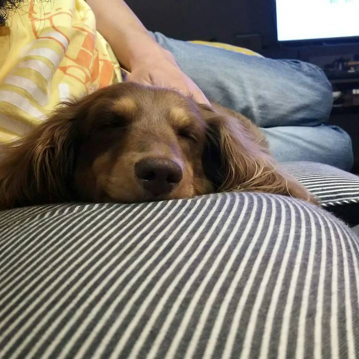 9dfe7ae4 bf78 4df3 8c86 d95deaab97a4 1527931256135