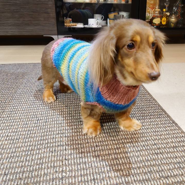 9dfe9c3c c115 4fc4 9ccd e6c5109ba70b 1642939717843