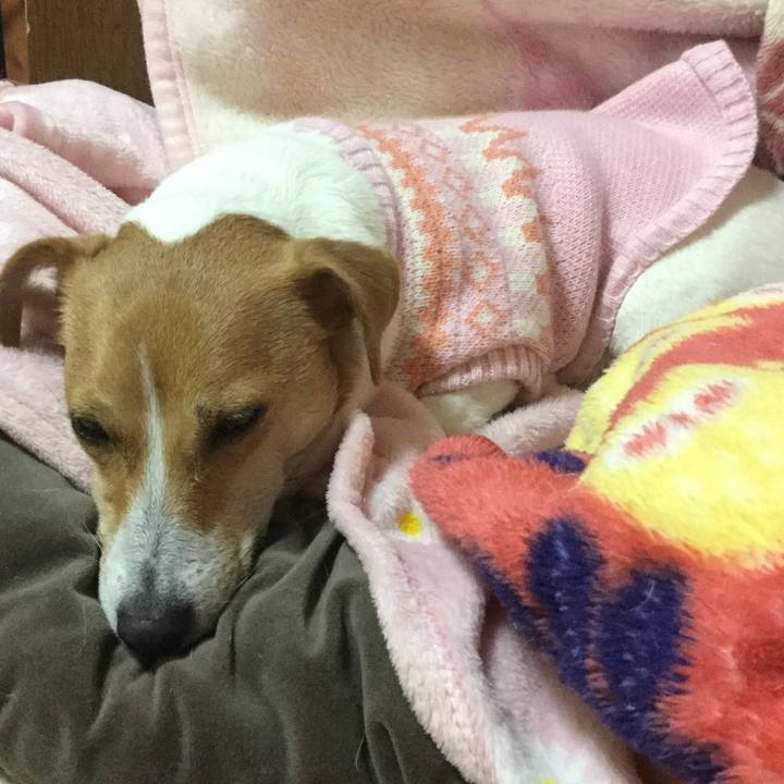 9dfea092 957c 48bc 8db3 b6b6c494da8f 1547076252660