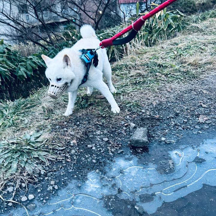 9dfea280 fad7 4ba2 a5ad 9daa88e551b1 1733264146835