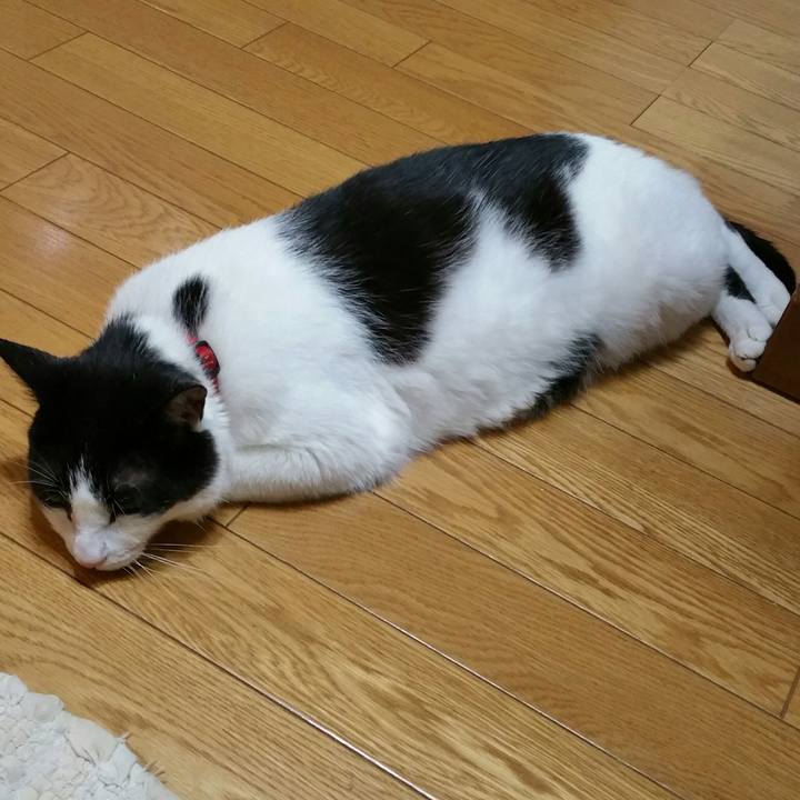 9dfefddd a4da 45fc 9446 1e8293f64c97 1532616078292