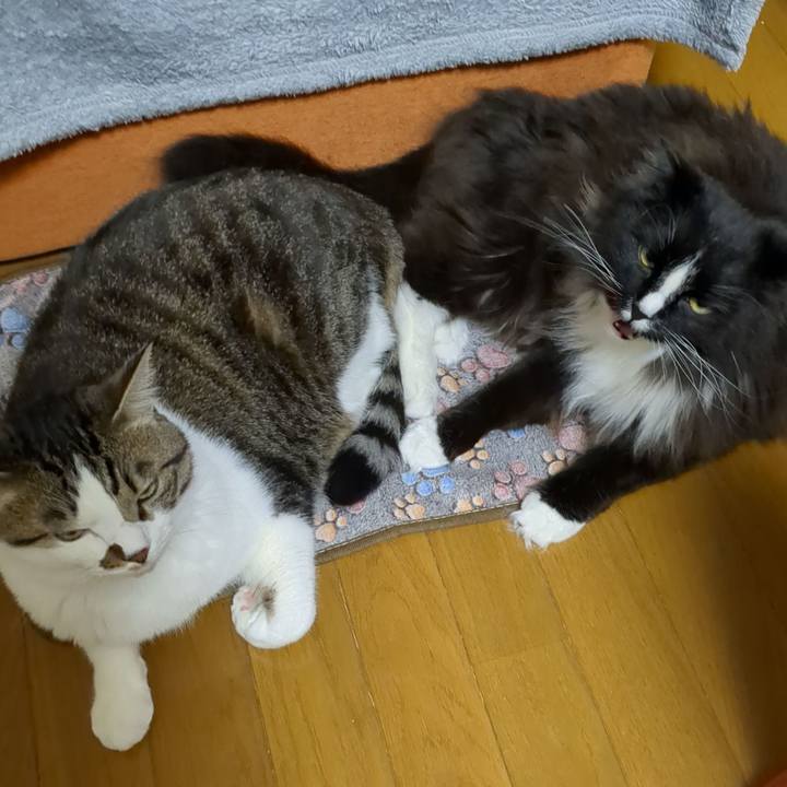 9dff27c7 50ef 4b69 9d76 c2b579d7d9cf 1683846172726