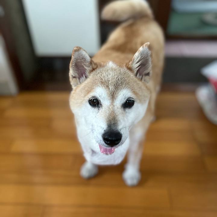 9dff3ecb 8c87 44c8 9bc8 2802347aa021 1754119268969