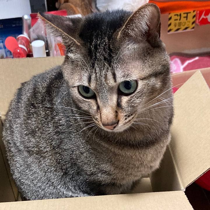 9dff49d7 99ae 48e9 b73e eb2c87803c9c 1772842792926