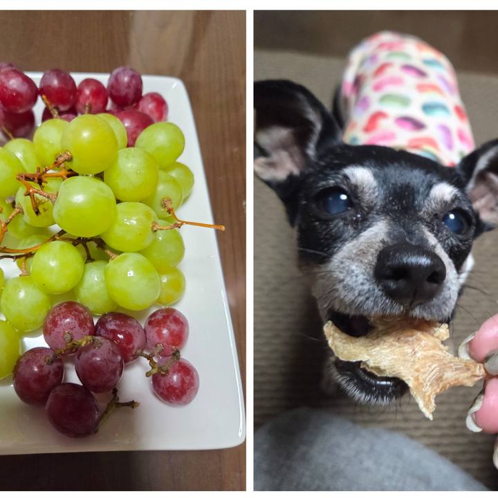 9dff4cd6 1e0d 4f91 b21e bd8ef7b06dd4 1756552361599