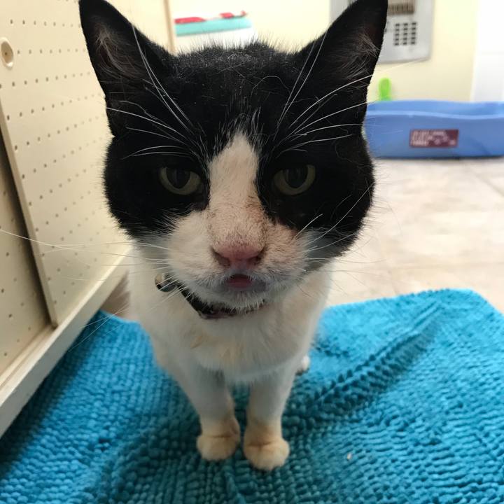 9dff584f fb41 4072 a2b7 6236f595feca 1520153126981