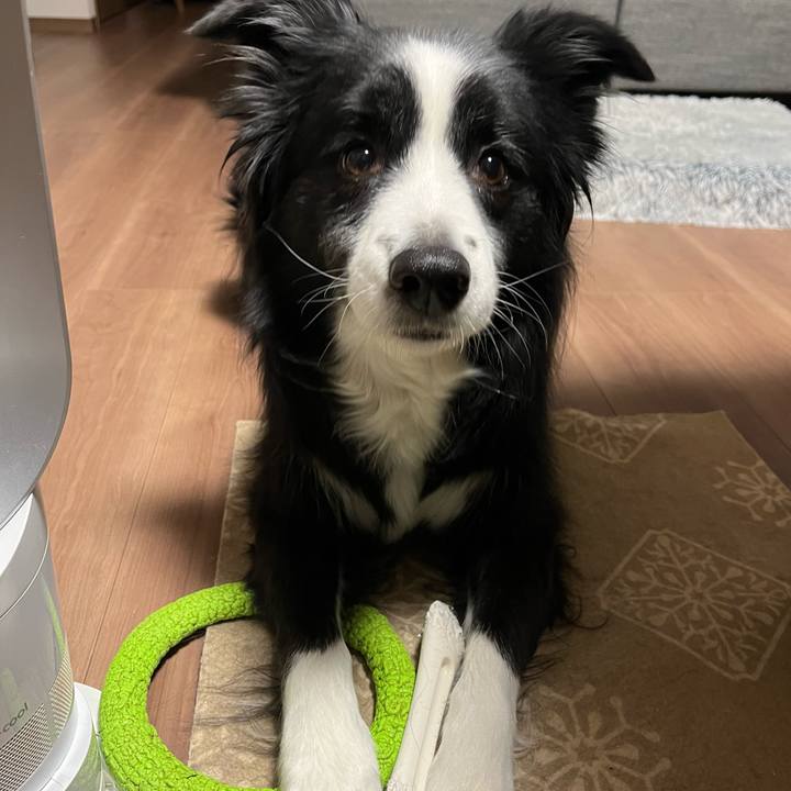 9dff5858 be3a 4f33 a46b 6cca6e12194f 1766871202925