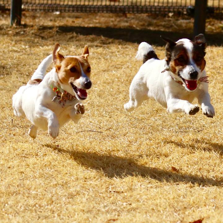 9dff59eb 6d07 4363 b0fe 822945a60cfe 1548485804673